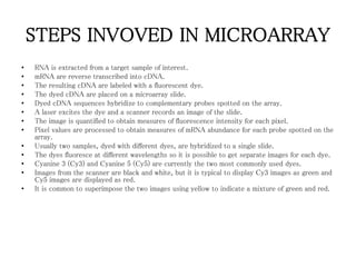 STEPS INVOVED IN MICROARRAY
• RNA is extracted from a target sample of interest.
• mRNA are reverse transcribed into cDNA.
• The resulting cDNA are labeled with a fluorescent dye.
• The dyed cDNA are placed on a microarray slide.
• Dyed cDNA sequences hybridize to complementary probes spotted on the array.
• A laser excites the dye and a scanner records an image of the slide.
• The image is quantified to obtain measures of fluorescence intensity for each pixel.
• Pixel values are processed to obtain measures of mRNA abundance for each probe spotted on the
array.
• Usually two samples, dyed with different dyes, are hybridized to a single slide.
• The dyes fluoresce at different wavelengths so it is possible to get separate images for each dye.
• Cyanine 3 (Cy3) and Cyanine 5 (Cy5) are currently the two most commonly used dyes.
• Images from the scanner are black and white, but it is typical to display Cy3 images as green and
Cy5 images are displayed as red.
• It is common to superimpose the two images using yellow to indicate a mixture of green and red.
 