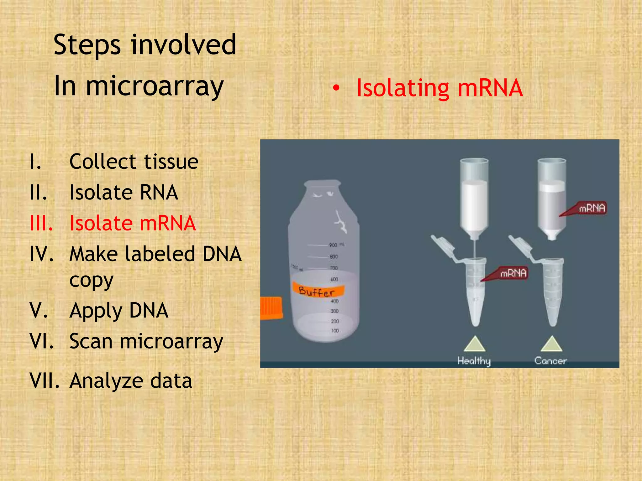 Steps involved
In microarray
I. Collect tissue
II. Isolate RNA
III. Isolate mRNA
IV. Make labeled DNA
copy
V. Apply DNA
VI. Scan microarray
VII. Analyze data
• Isolating mRNA
 