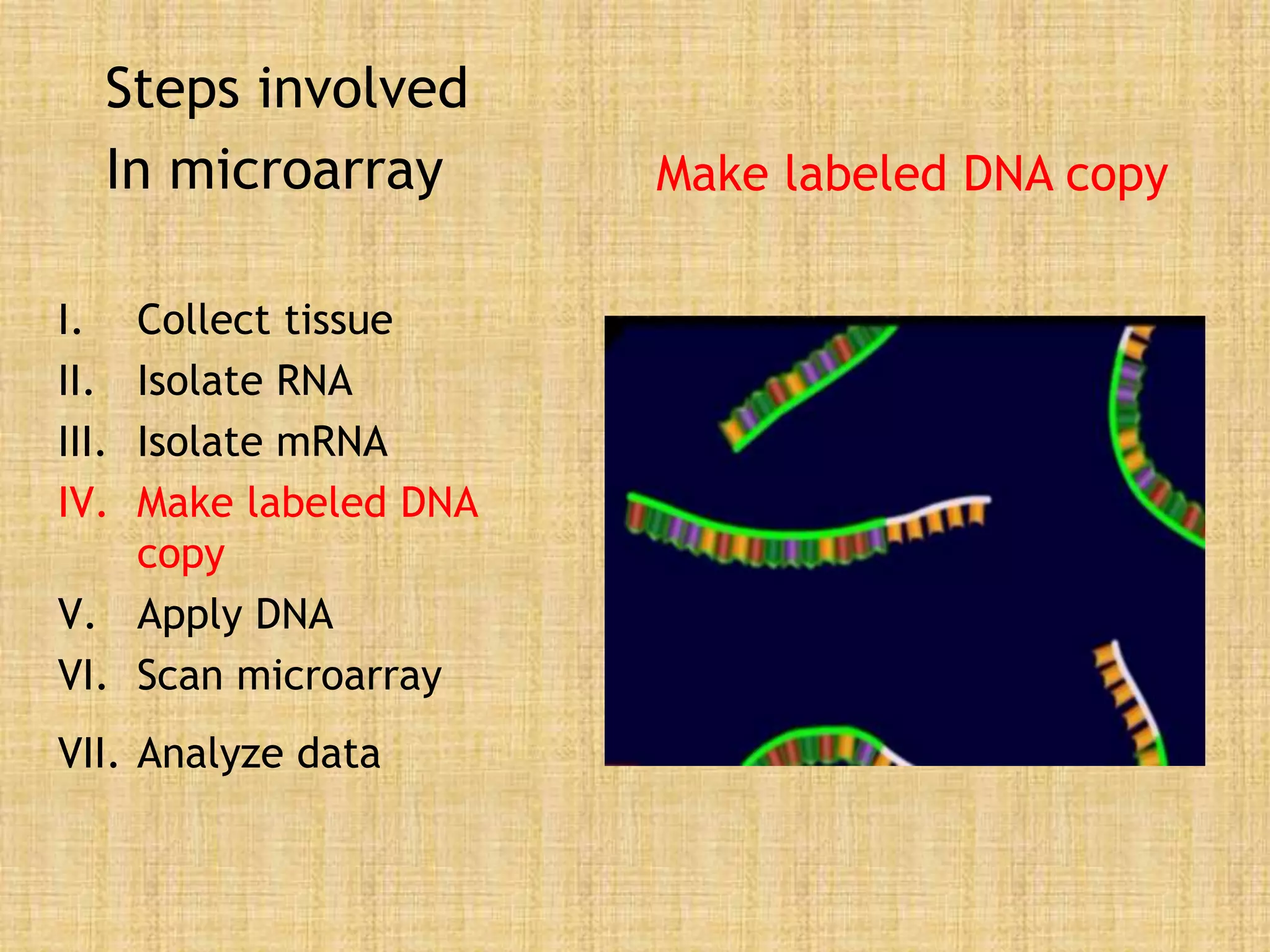 Steps involved
In microarray
I. Collect tissue
II. Isolate RNA
III. Isolate mRNA
IV. Make labeled DNA
copy
V. Apply DNA
VI. Scan microarray
VII. Analyze data
Make labeled DNA copy
 