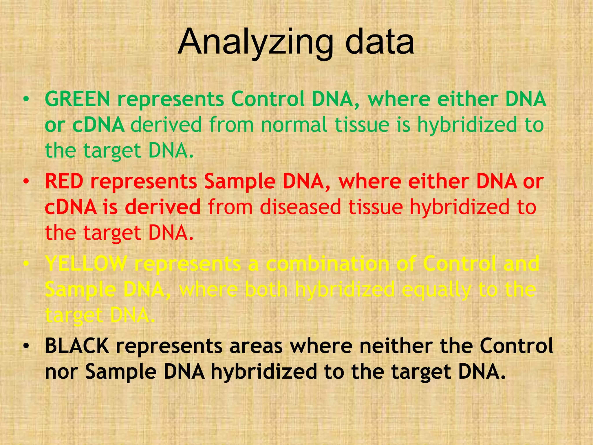 Analyzing data
• GREEN represents Control DNA, where either DNA
or cDNA derived from normal tissue is hybridized to
the target DNA.
• RED represents Sample DNA, where either DNA or
cDNA is derived from diseased tissue hybridized to
the target DNA.
• YELLOW represents a combination of Control and
Sample DNA, where both hybridized equally to the
target DNA.
• BLACK represents areas where neither the Control
nor Sample DNA hybridized to the target DNA.
 