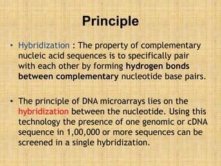 Principle
• Hybridization : The property of complementary
nucleic acid sequences is to specifically pair
with each other by forming hydrogen bonds
between complementary nucleotide base pairs.
• The principle of DNA microarrays lies on the
hybridization between the nucleotide. Using this
technology the presence of one genomic or cDNA
sequence in 1,00,000 or more sequences can be
screened in a single hybridization.
 