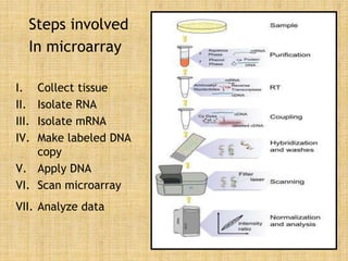 Steps involved
In microarray
I. Collect tissue
II. Isolate RNA
III. Isolate mRNA
IV. Make labeled DNA
copy
V. Apply DNA
VI. Scan microarray
VII. Analyze data
 