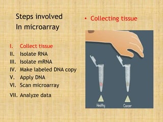 Steps involved
In microarray
I. Collect tissue
II. Isolate RNA
III. Isolate mRNA
IV. Make labeled DNA copy
V. Apply DNA
VI. Scan microarray
VII. Analyze data
• Collecting tissue
 