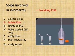 Steps involved
In microarray
I. Collect tissue
II. Isolate RNA
III. Isolate mRNA
IV. Make labeled DNA
copy
V. Apply DNA
VI. Scan microarray
VII. Analyze data
• Isolating RNA
 