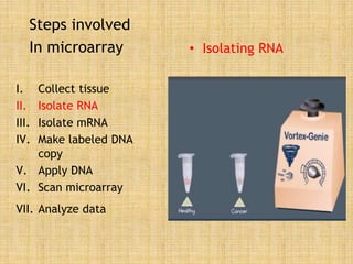 Steps involved
In microarray
I. Collect tissue
II. Isolate RNA
III. Isolate mRNA
IV. Make labeled DNA
copy
V. Apply DNA
VI. Scan microarray
VII. Analyze data
• Isolating RNA
 
