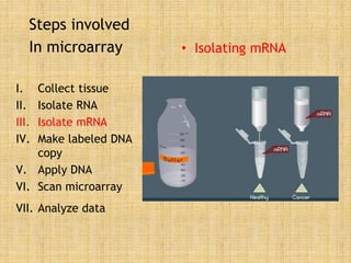 Steps involved
In microarray
I. Collect tissue
II. Isolate RNA
III. Isolate mRNA
IV. Make labeled DNA
copy
V. Apply DNA
VI. Scan microarray
VII. Analyze data
• Isolating mRNA
 