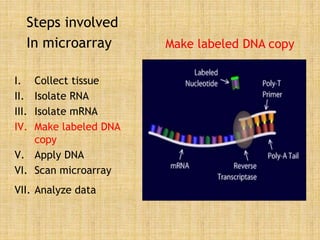 Steps involved
In microarray
I. Collect tissue
II. Isolate RNA
III. Isolate mRNA
IV. Make labeled DNA
copy
V. Apply DNA
VI. Scan microarray
VII. Analyze data
Make labeled DNA copy
 