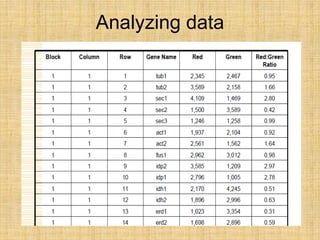 Analyzing data
 