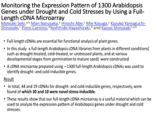Monitoring the Expression Pattern of 1300 Arabidopsis
Genes under Drought and Cold Stresses by Using a Full-
Length cDNA Microarray
Motoaki Seki,a,b Mari Narusaka,a Hiroshi Abe,c Mie Kasuga,c Kazuko Yamaguchi-
Shinozaki,c Piero Carninci,dYoshihide Hayashizaki,d and Kazuo Shinozaki1,a,b
 