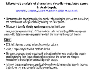Microarray analysis of diurnal and circadian-regulated genes
in Arabidopsis.
Schaffer R1, Landgraf J, Accerbi M, Simon V, Larson M, Wisman E.
 