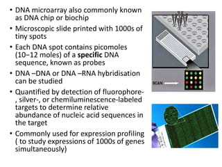 • DNA microarray also commonly known
as DNA chip or biochip
• Microscopic slide printed with 1000s of
tiny spots
• Each DNA spot contains picomoles
(10−12 moles) of a specific DNA
sequence, known as probes
• DNA –DNA or DNA –RNA hybridisation
can be studied
• Quantified by detection of fluorophore-
, silver-, or chemiluminescence-labeled
targets to determine relative
abundance of nucleic acid sequences in
the target
• Commonly used for expression profiling
( to study expressions of 1000s of genes
simultaneously)
 