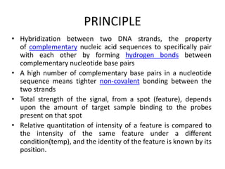 PRINCIPLE
• Hybridization between two DNA strands, the property
of complementary nucleic acid sequences to specifically pair
with each other by forming hydrogen bonds between
complementary nucleotide base pairs
• A high number of complementary base pairs in a nucleotide
sequence means tighter non-covalent bonding between the
two strands
• Total strength of the signal, from a spot (feature), depends
upon the amount of target sample binding to the probes
present on that spot
• Relative quantitation of intensity of a feature is compared to
the intensity of the same feature under a different
condition(temp), and the identity of the feature is known by its
position.
 