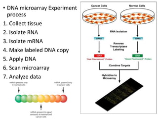 • DNA microarray Experiment
process
1. Collect tissue
2. Isolate RNA
3. Isolate mRNA
4. Make labeled DNA copy
5. Apply DNA
6. Scan microarray
7. Analyze data
 