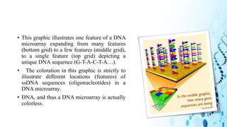 DNA MICROARRAY TECHNOLOGY FOR PRINCIPLE OF DRUG DISCOVERY | PPTX