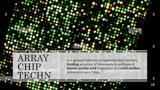 16
is a general laboratory approach that involves
binding an array of thousands to millions of
known nucleic acid fragments to a solid surface,
referred to as a “chip.
 