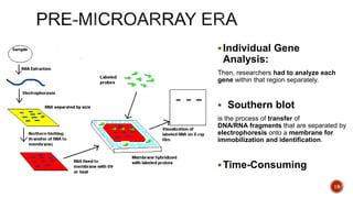 Individual Gene
Analysis:
Then, researchers had to analyze each
gene within that region separately.
 Southern blot
is the process of transfer of
DNA/RNA fragments that are separated by
electrophoresis onto a membrane for
immobilization and identification.
Time-Consuming
18
 
