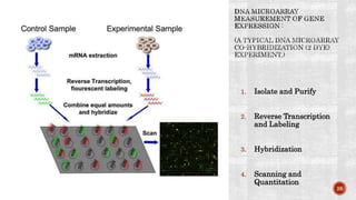 1. Isolate and Purify
2. Reverse Transcription
and Labeling
3. Hybridization
4. Scanning and
Quantitation
26
 