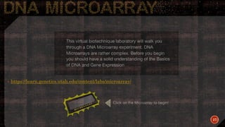  https://learn.genetics.utah.edu/content/labs/microarray/
27
 