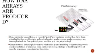 Some methods basically use a robot to “print” pre-designed probes that have been
attached to fine needles onto a chemical matrix surface using surface engineering
(examples include fine-pointed pins, needles, and ink-jet printing).
 Other methods employ photo-activated chemistry and masking to synthesize probes
one nucleotide at a time on a solid surface in repeated steps to build up probes of
specific sequences in designated locations.
28
 