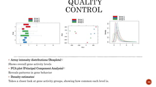  Array intensity distributions (Boxplots) :
Shows overall gene activity levels
 PCA plot (Principal Component Analysis) :
Reveals patterns in gene behavior
 Density estimates:
Takes a closer look at gene activity groups, showing how common each level is. 35
 
