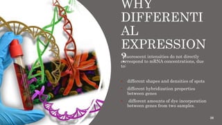 WHY
DIFFERENTI
AL
EXPRESSION
?
Fluorescent intensities do not directly
correspond to mRNA concentrations, due
to:
 different shapes and densities of spots
 different hybridization properties
between genes
 different amounts of dye incorporation
between genes from two samples.
38
 