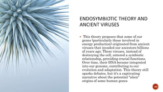 This theory proposes that some of our
genes (particularly those involved in
energy production) originated from ancient
viruses that invaded our ancestors billions
of years ago. These viruses, instead of
destroying the cell, entered a symbiotic
relationship, providing crucial functions.
Over time, their DNA became integrated
into our genome, contributing to our
evolution and adaptation. This theory still
sparks debates, but it's a captivating
narrative about the potential "alien"
origins of some human genes
46
 
