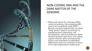  While only about 2% of human DNA
codes for proteins, the remaining 98%
used to be considered "junk DNA."
Recent research suggests this so-called
"dark matter" plays a crucial role in
regulating gene expression, cell
development, and even behavior. Some
theories propose that these non-coding
regions interact with environmental
factors and contribute to individual
differences and even evolution in ways
we're only beginning to understand.
47
 