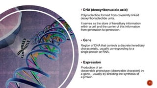  DNA (deoxyribonucleic acid)
Polynucleotide formed from covalently linked
deoxyribonucleotide units.
It serves as the store of hereditary information
within a cell and the carrier of this information
from generation to generation.
 Gene
Region of DNA that controls a discrete hereditary
characteristic, usually corresponding to a
single protein or RNA.
 Expression
Production of an
observable phenotype (observable character) by
a gene—usually by directing the synthesis of
a protein.
7
 
