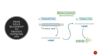 FROM
DNA'S
BLUEPRINT
TO
PROTEIN
INSTRUME
NTS
9
 