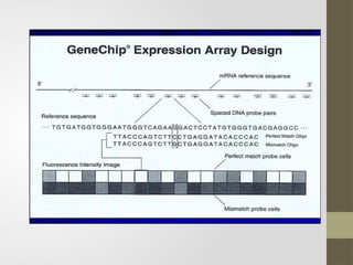 microarray its types and applications in detail | PPTX
