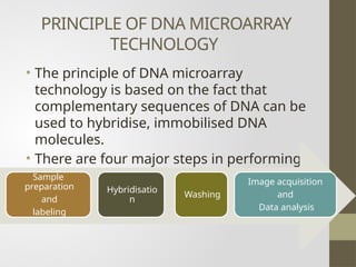 microarray its types and applications in detail | PPTX