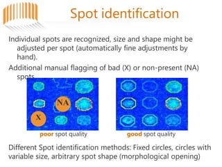 Spot identification
Individual spots are recognized, size and shape might be
adjusted per spot (automatically fine adjustments by
hand).
Additional manual flagging of bad (X) or non-present (NA)
spots
NA
X
poor spot quality good spot quality
Different Spot identification methods: Fixed circles, circles with
variable size, arbitrary spot shape (morphological opening)
 