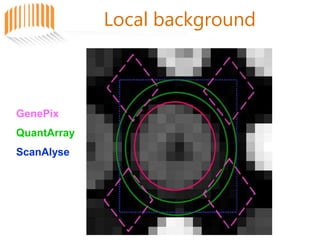 Local background
GenePix
QuantArray
ScanAlyse
 