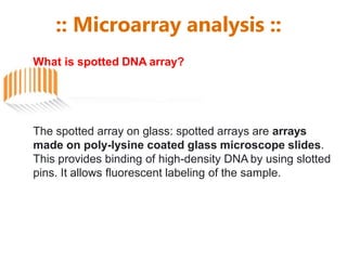 :: Microarray analysis ::
What is spotted DNA array?
The spotted array on glass: spotted arrays are arrays
made on poly-lysine coated glass microscope slides.
This provides binding of high-density DNA by using slotted
pins. It allows fluorescent labeling of the sample.
 