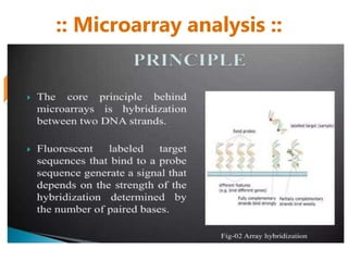 :: Microarray analysis ::
 
