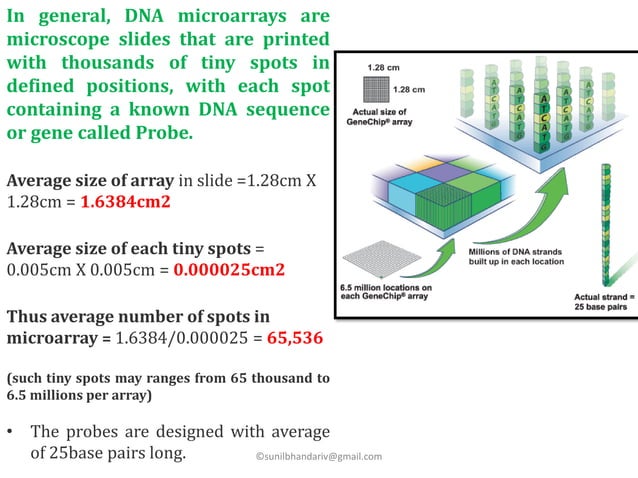 Microarray | PPT