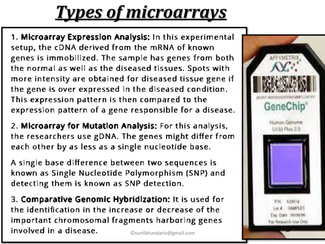 Microarray | PPT