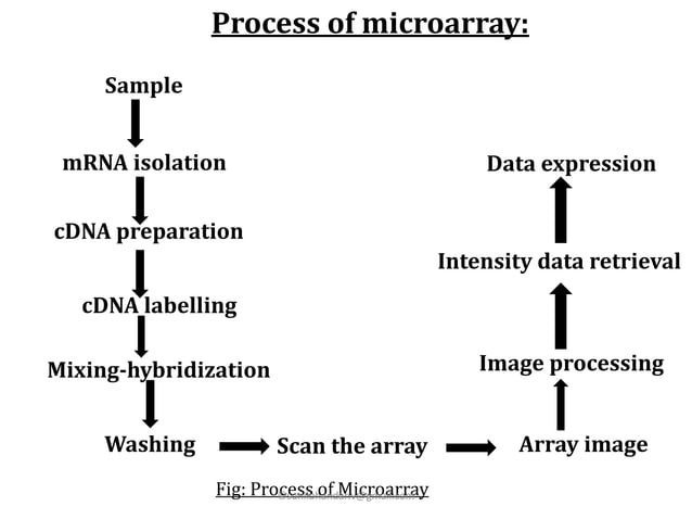 Microarray | PPT
