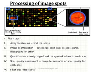 Processing of image spots
©sunilbhandariv@gmail.com
 