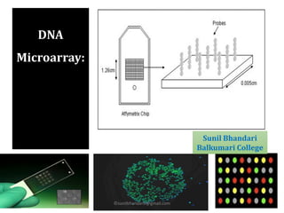 DNA
Microarray:
Sunil Bhandari
Balkumari College
©sunilbhandariv@gmail.com
 