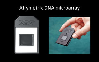 Microarray full detail | PPTX
