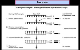 Microarray full detail | PPTX