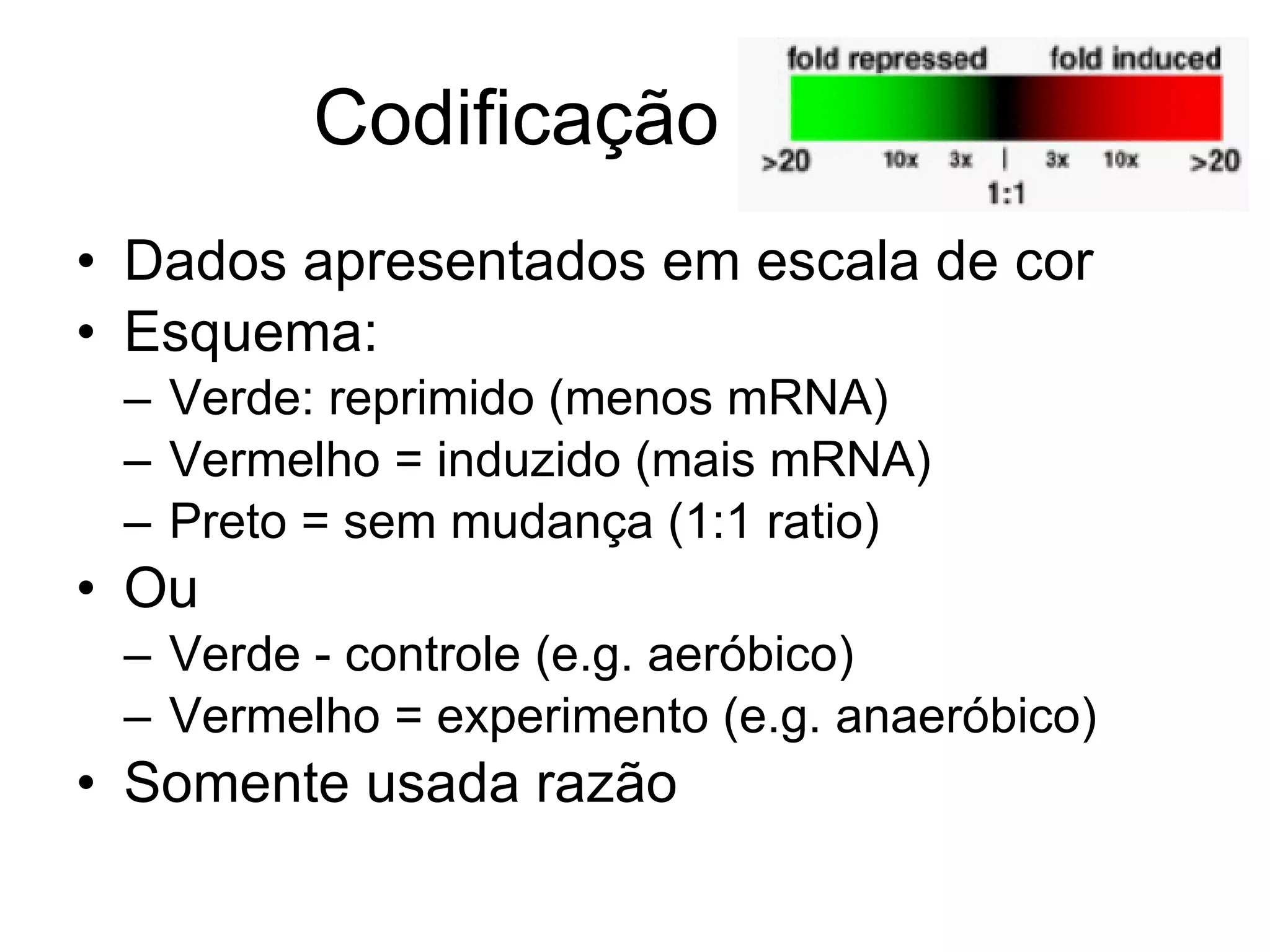 Codificação de cor Dados apresentados em escala de cor Esquema: Verde: reprimido (menos mRNA) Vermelho = induzido (mais mRNA) Preto = sem mudança (1:1 ratio) Ou Verde - controle (e.g. aeróbico) Vermelho = experimento (e.g. anaeróbico) Somente usada razão 
