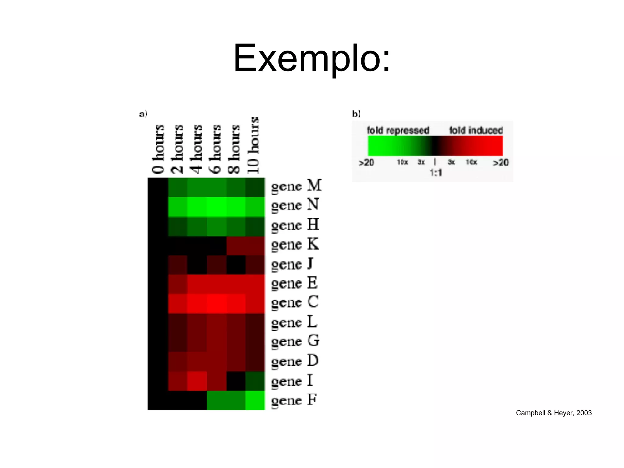 Exemplo: Campbell & Heyer, 2003 