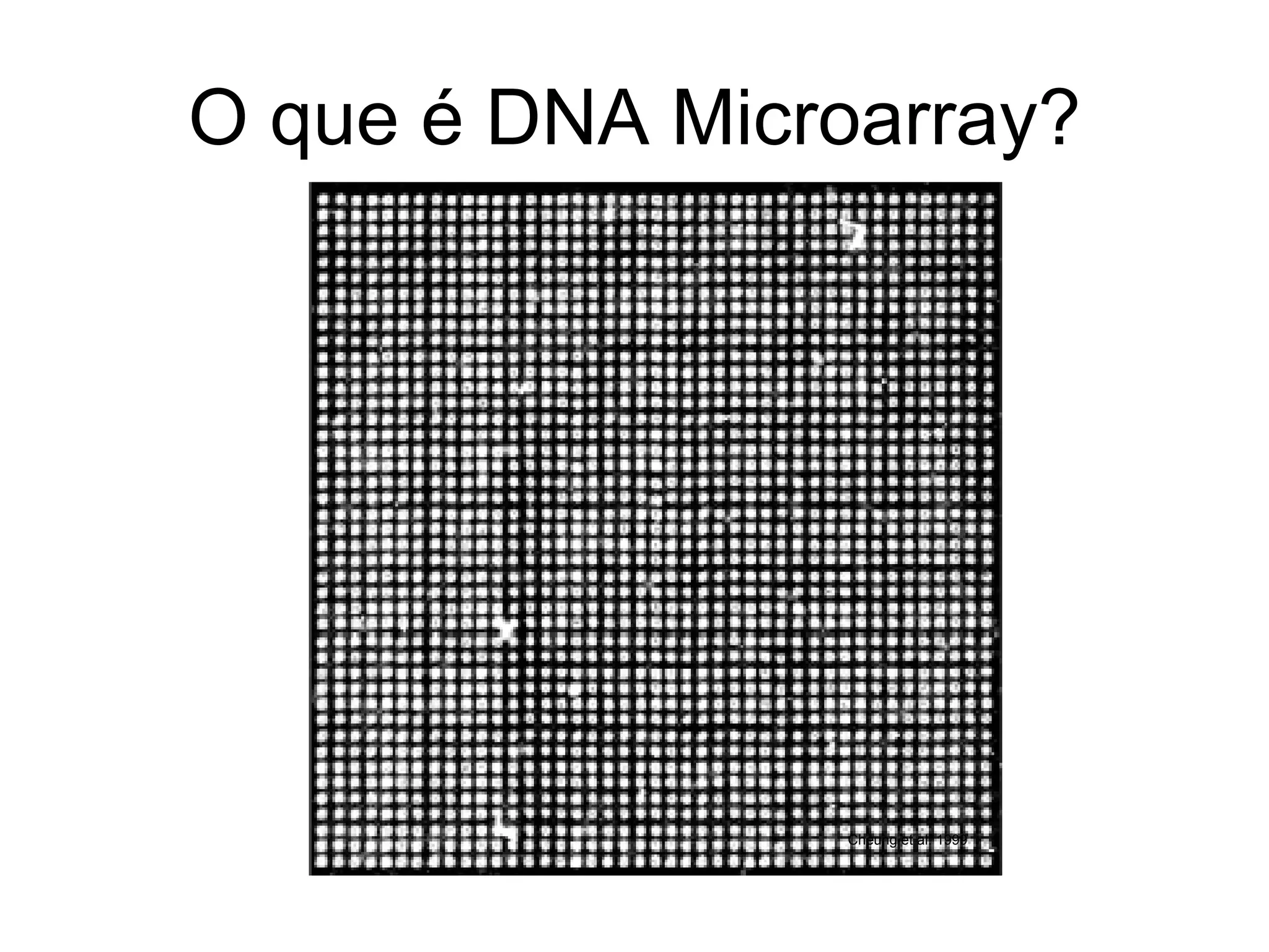 O que é DNA Microarray? Cheung et al. 1999 