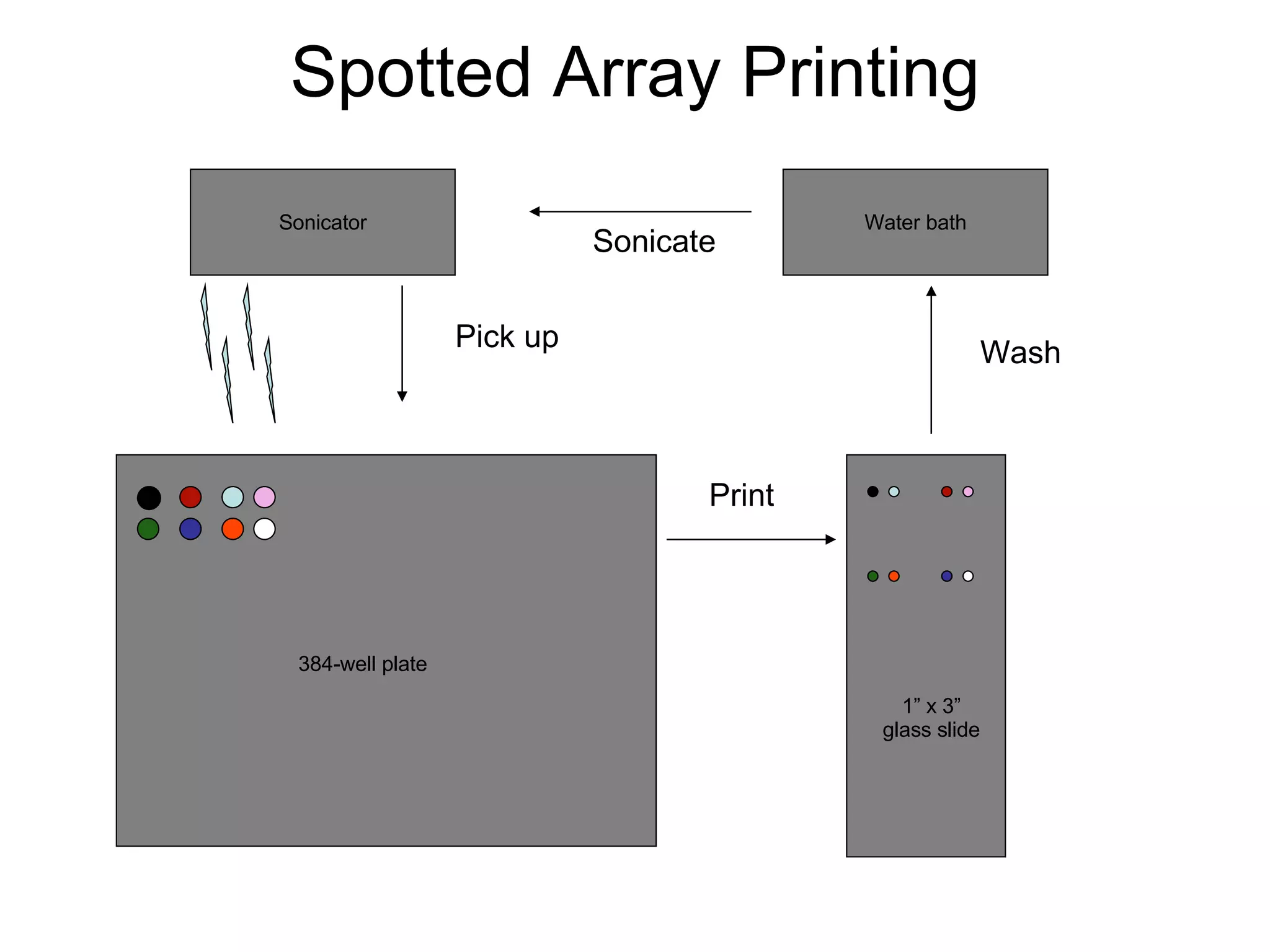 Print 384-well plate 1” x 3” glass slide Water bath Wash Sonicator Spotted Array Printing Sonicate Pick up 