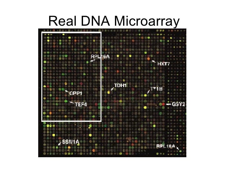 Microarray