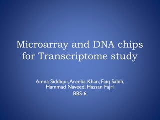 Microarray and DNA chips
for Transcriptome study
Amna Siddiqui,Areeba Khan, Faiq Sabih,
Hammad Naveed, Hassan Fajri
BBS-6
 