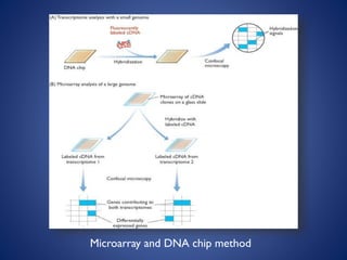 Microarray and DNA chip method
 