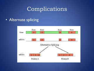 Complications
• Alternate splicing
 